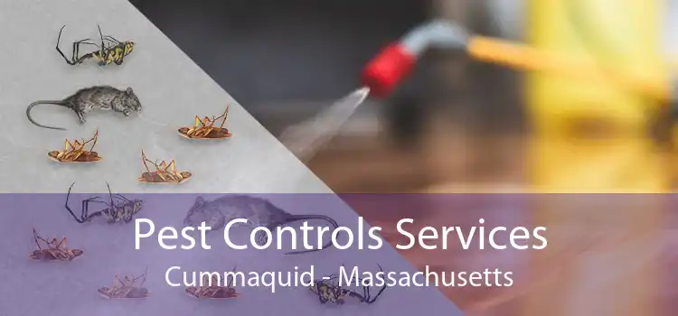 Pest Controls Services Cummaquid - Massachusetts