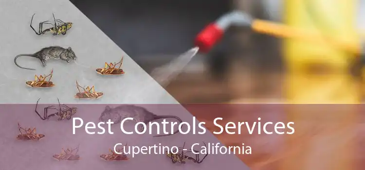 Pest Controls Services Cupertino - California