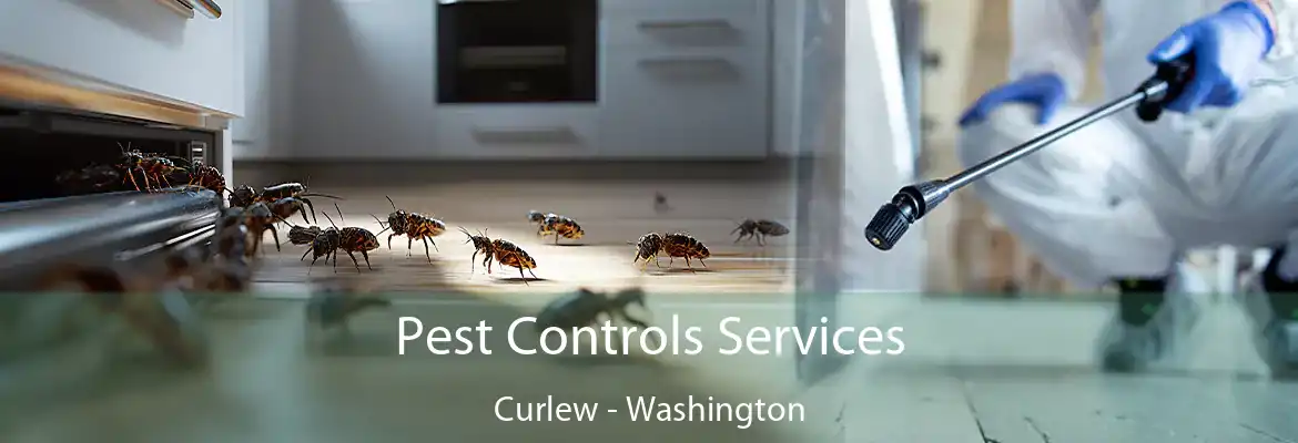 Pest Controls Services Curlew - Washington