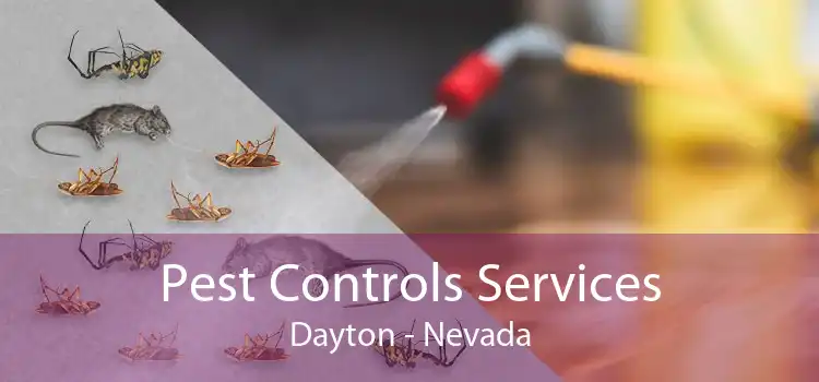 Pest Controls Services Dayton - Nevada