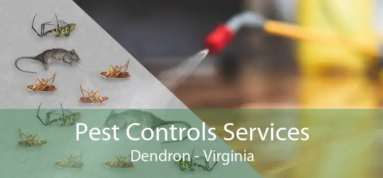 Pest Controls Services Dendron - Virginia