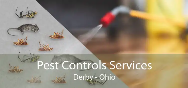 Pest Controls Services Derby - Ohio