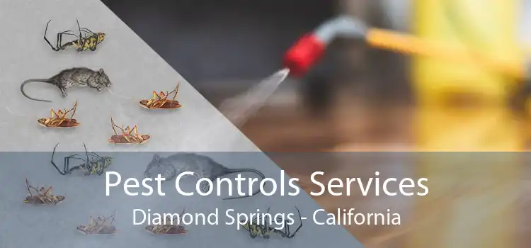 Pest Controls Services Diamond Springs - California