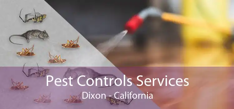 Pest Controls Services Dixon - California
