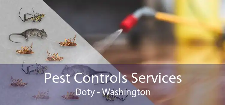 Pest Controls Services Doty - Washington