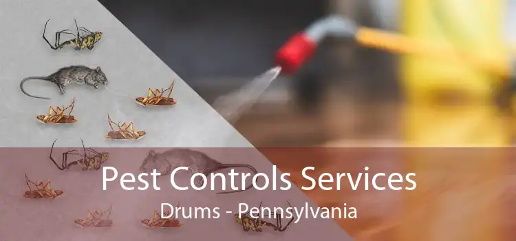 Pest Controls Services Drums - Pennsylvania