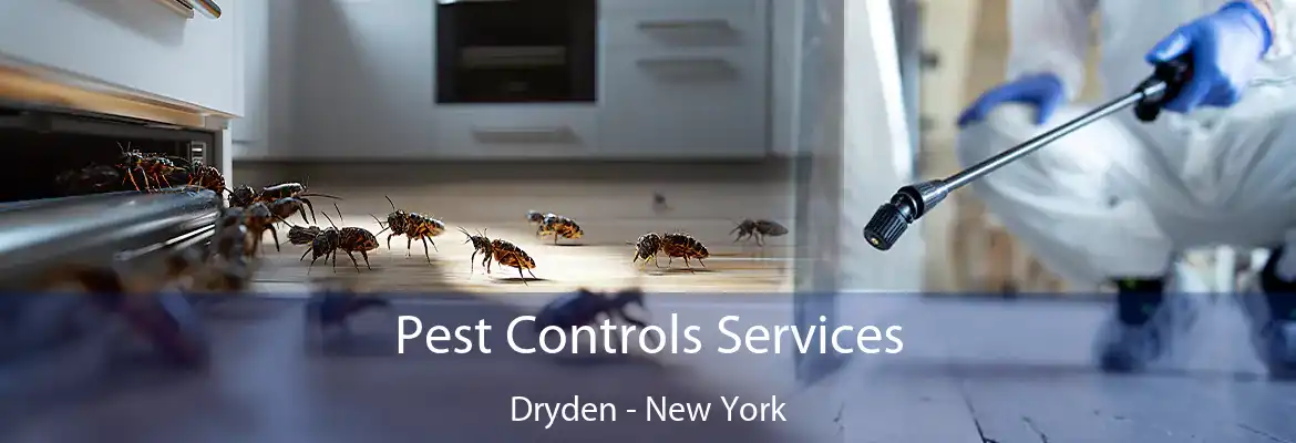 Pest Controls Services Dryden - New York