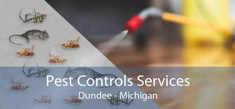 Pest Controls Services Dundee - Michigan