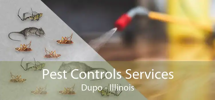 Pest Controls Services Dupo - Illinois