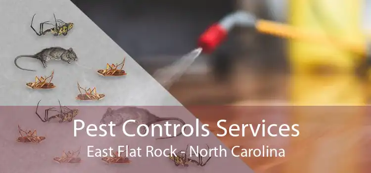 Pest Controls Services East Flat Rock - North Carolina