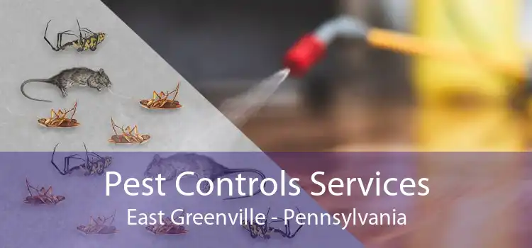 Pest Controls Services East Greenville - Pennsylvania