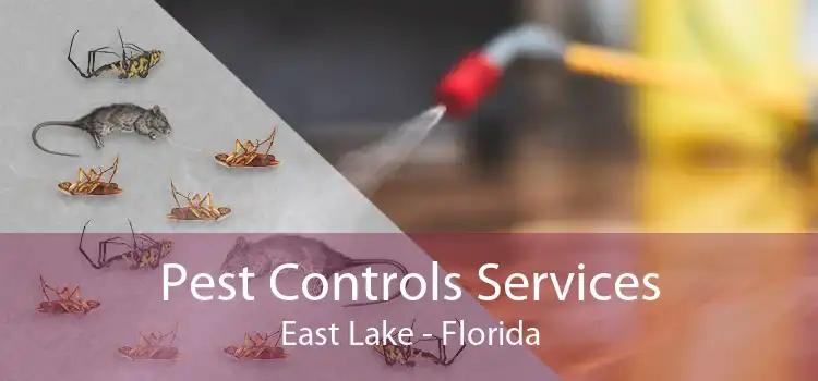 Pest Controls Services East Lake - Florida