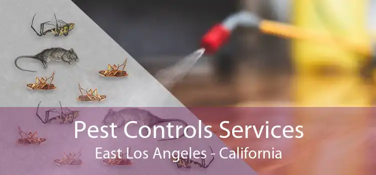 Pest Controls Services East Los Angeles - California