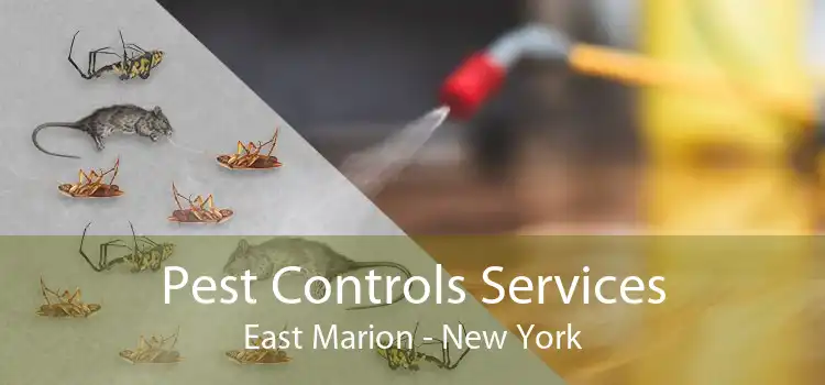 Pest Controls Services East Marion - New York