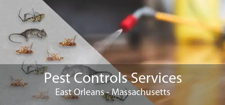 Pest Controls Services East Orleans - Massachusetts