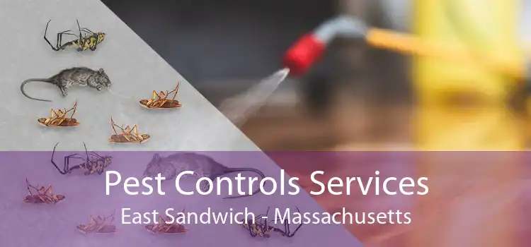 Pest Controls Services East Sandwich - Massachusetts