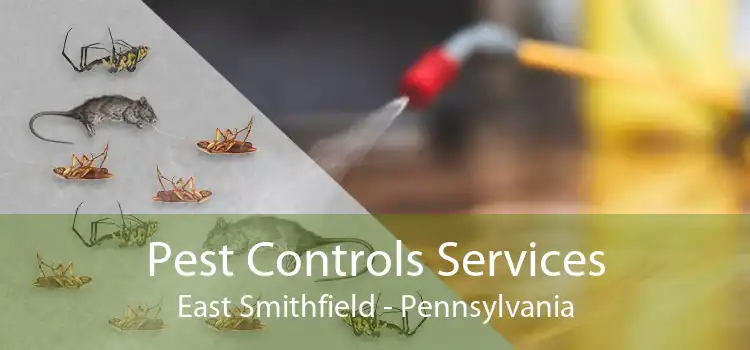 Pest Controls Services East Smithfield - Pennsylvania