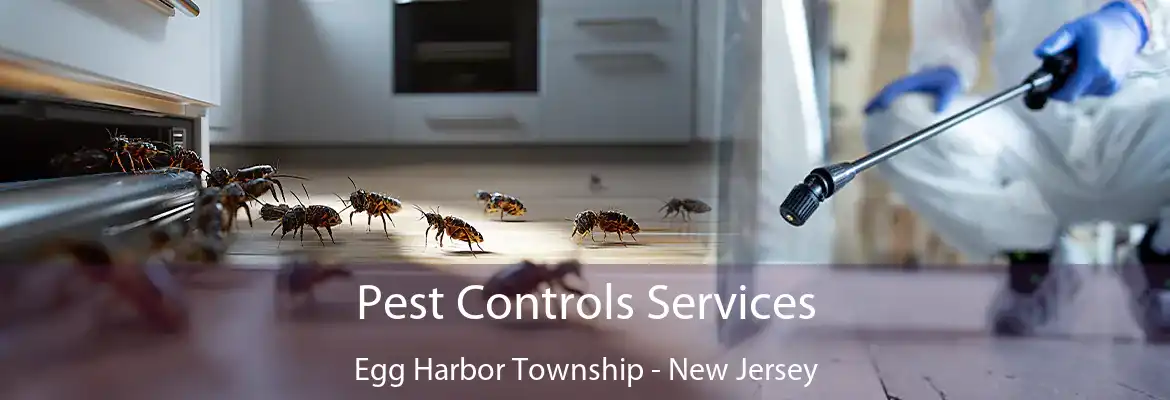 Pest Controls Services Egg Harbor Township - New Jersey