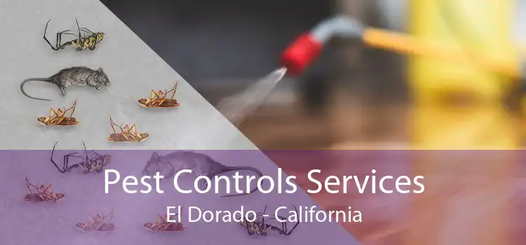 Pest Controls Services El Dorado - California