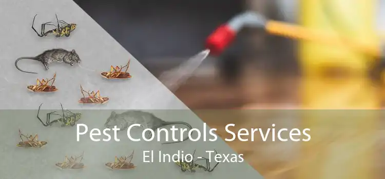 Pest Controls Services El Indio - Texas