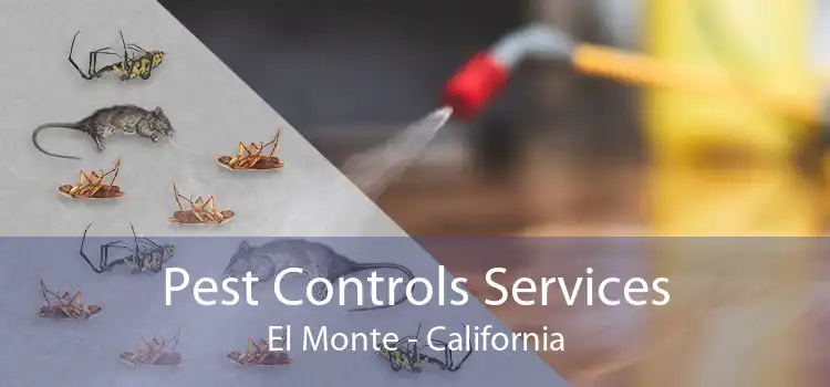 Pest Controls Services El Monte - California