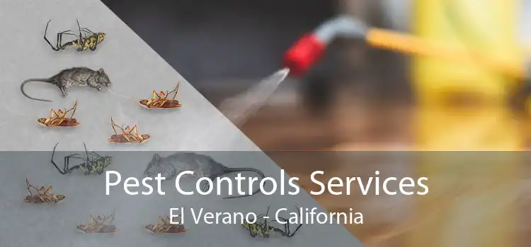Pest Controls Services El Verano - California