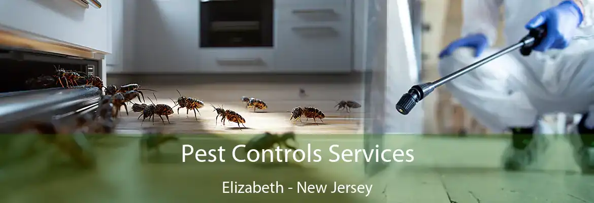 Pest Controls Services Elizabeth - New Jersey