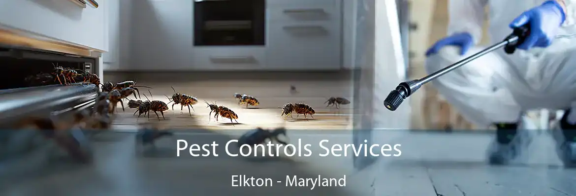 Pest Controls Services Elkton - Maryland