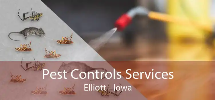 Pest Controls Services Elliott - Iowa