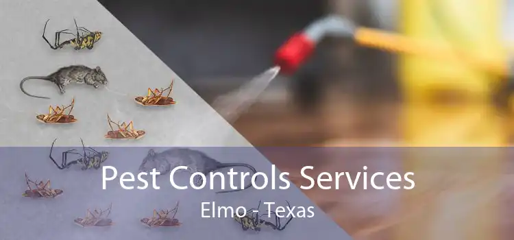 Pest Controls Services Elmo - Texas