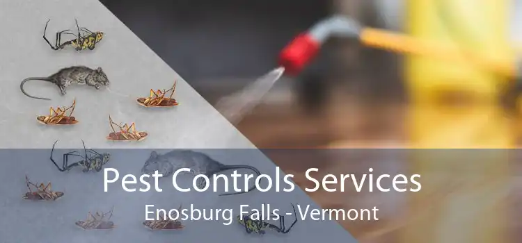 Pest Controls Services Enosburg Falls - Vermont