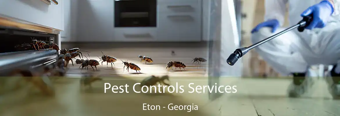 Pest Controls Services Eton - Georgia