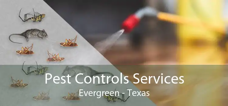 Pest Controls Services Evergreen - Texas