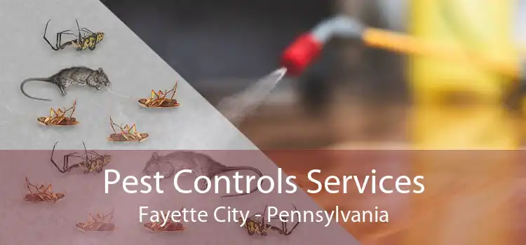 Pest Controls Services Fayette City - Pennsylvania
