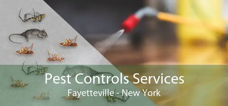 Pest Controls Services Fayetteville - New York