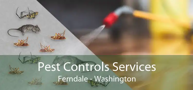 Pest Controls Services Ferndale - Washington