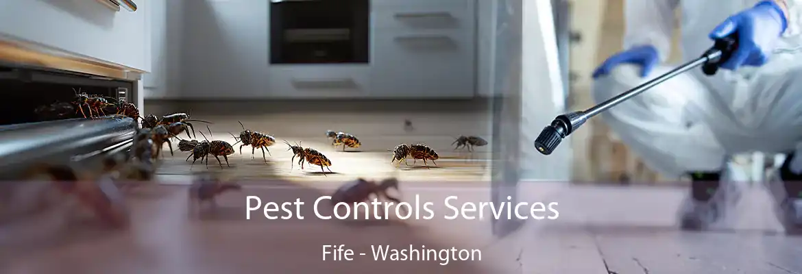 Pest Controls Services Fife - Washington