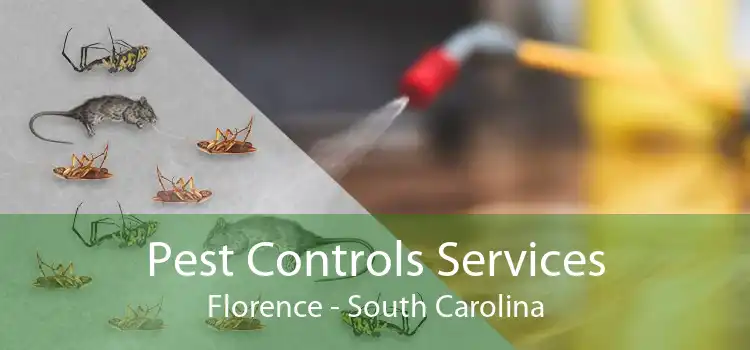 Pest Controls Services Florence - South Carolina