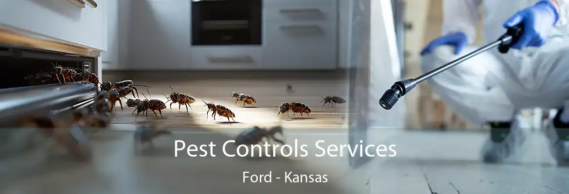 Pest Controls Services Ford - Kansas