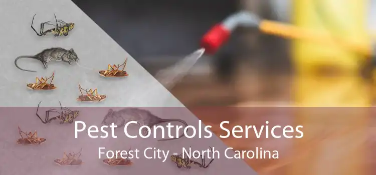 Pest Controls Services Forest City - North Carolina