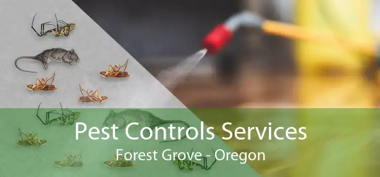 Pest Controls Services Forest Grove - Oregon