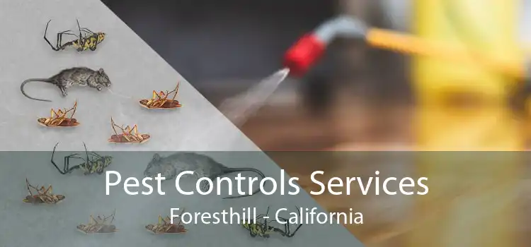 Pest Controls Services Foresthill - California