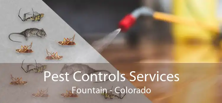 Pest Controls Services Fountain - Colorado