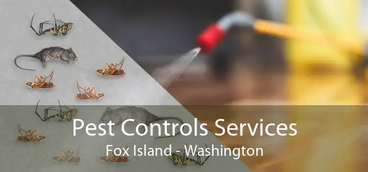 Pest Controls Services Fox Island - Washington