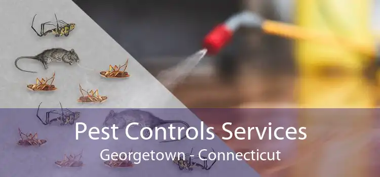 Pest Controls Services Georgetown - Connecticut