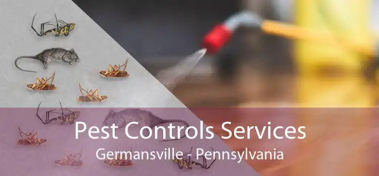 Pest Controls Services Germansville - Pennsylvania