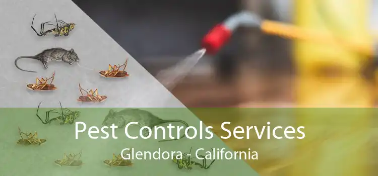 Pest Controls Services Glendora - California