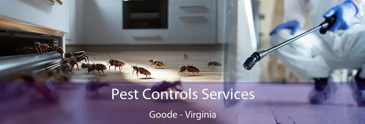 Pest Controls Services Goode - Virginia