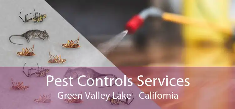 Pest Controls Services Green Valley Lake - California