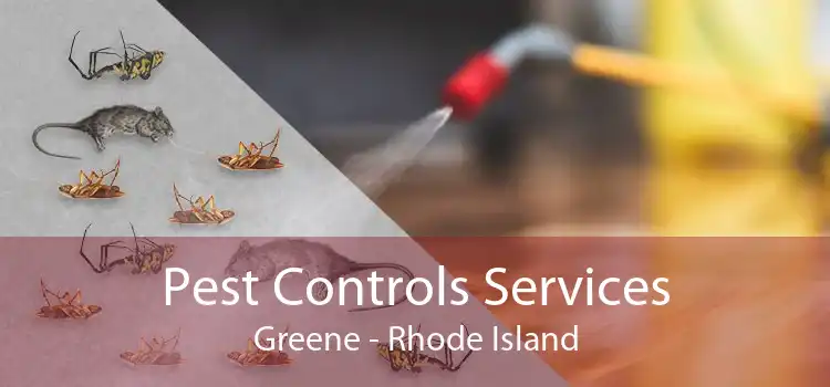 Pest Controls Services Greene - Rhode Island